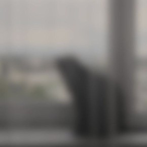    .        ,   ,      