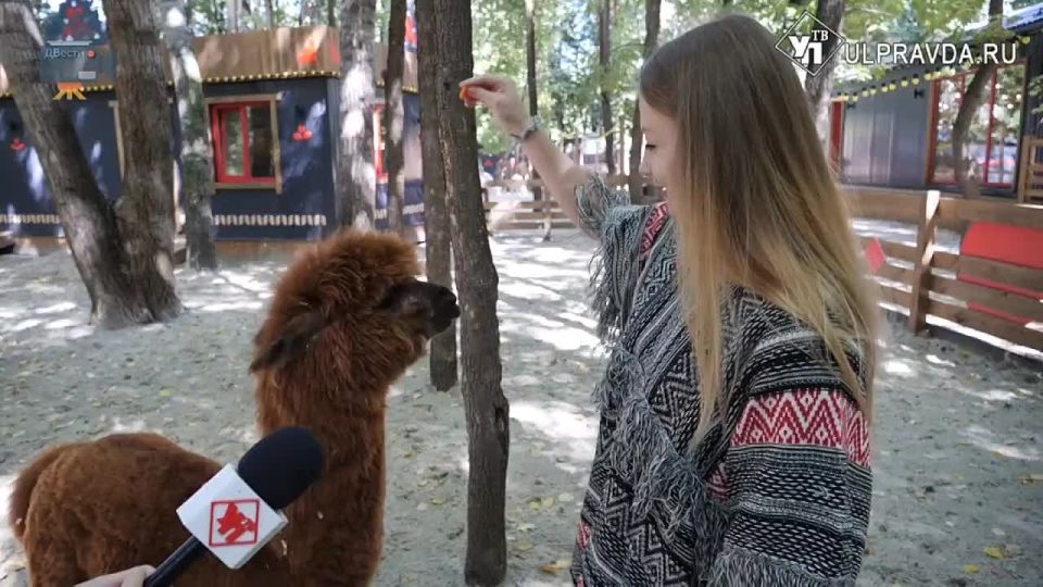      ?      ?      ?    - , 23 ,      ulpravda.ru