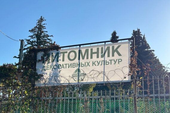   : ultoday73.ru     