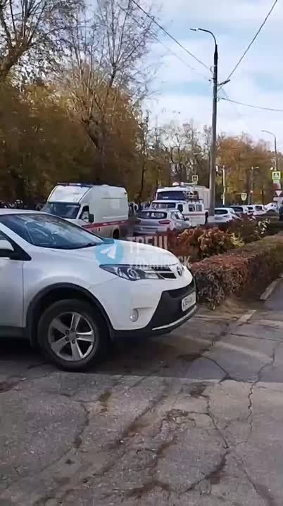             , 55