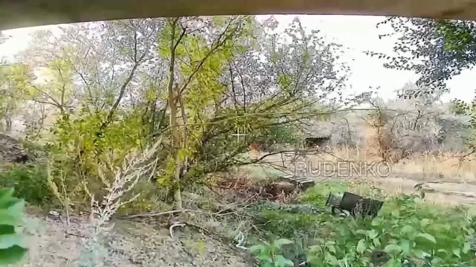  :  FPV-              