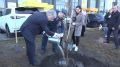 Красивые виды и необходимый элемент экосистемы города