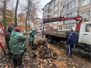 В Ульяновске высадили 41 липу