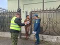 На что обратить внимание, чтобы обезопасить свой дом: профилактические рейды МЧС России