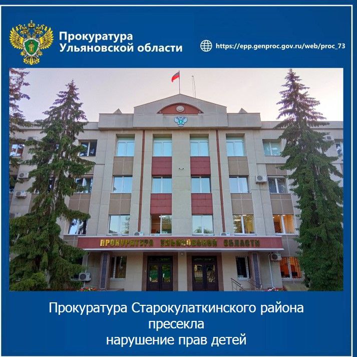 Прокуратура Старокулаткинского района Ульяновской области провела проверку исполнения законодательства о защите прав несовершеннолетних