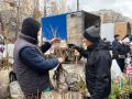 В Заволжье проходит сельскохозяйственная ярмарка