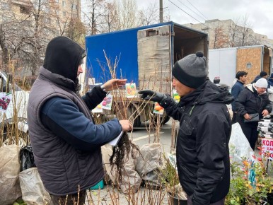 В Заволжье проходит сельскохозяйственная ярмарка