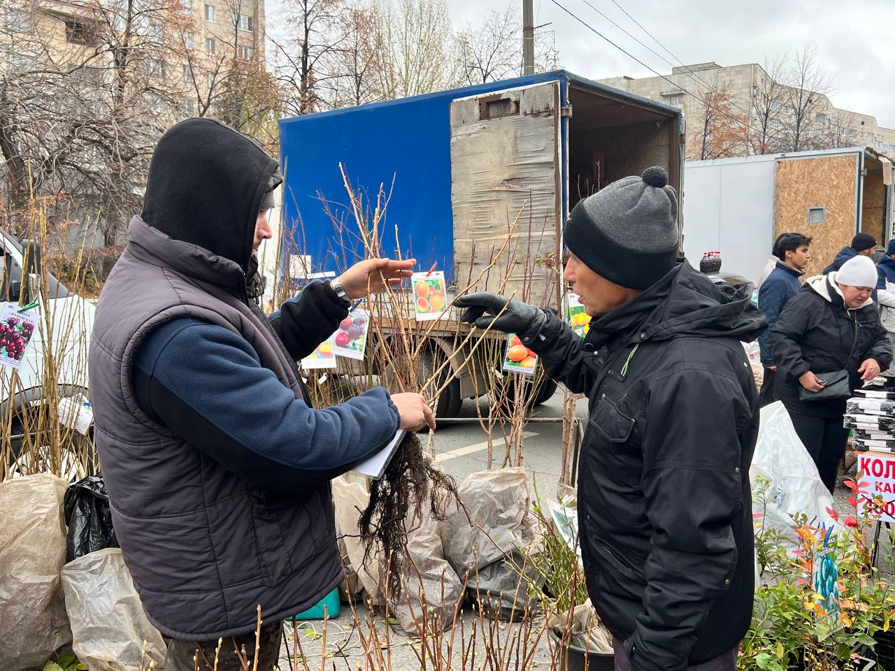 В Заволжье проходит сельскохозяйственная ярмарка