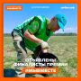 Определили финалистов Международной Премии #МЫВМЕСТЕ