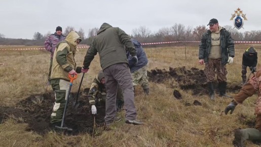 Ульяновские следователи СК России приняли участие в поисковых мероприятиях