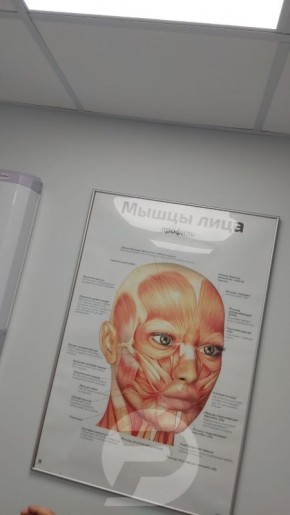 Телеканал Репортер 73 совместно с Медицинской Палатой Ульяновской области представляет новый выпуск программы «Будь здоров» — «Главное о глаукоме»