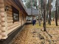 Прокуратура Чердаклинского района провела проверку исполнения лесного законодательства