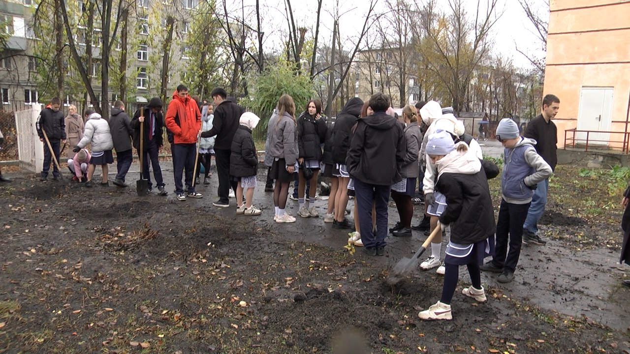 В Ульяновске продолжается кампания по осенней высадке деревьев