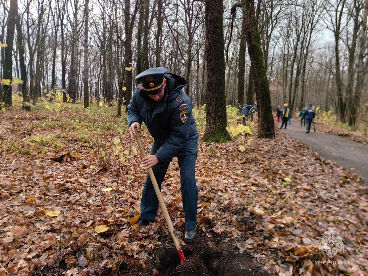Кедр как символ стойкости. В преддверии знаменательной даты – 35-летия со дня образования МЧС России, сотрудники Главного управления МЧС России по Ульяновской области приняли участие в акции по озеленению города Кедр как символ стойкости. В преддверии знаменательной даты – 35-летия со дня образования МЧС России, сотрудники Главного управления МЧС России по Ульяновской области приняли участие в акции по озеленению города