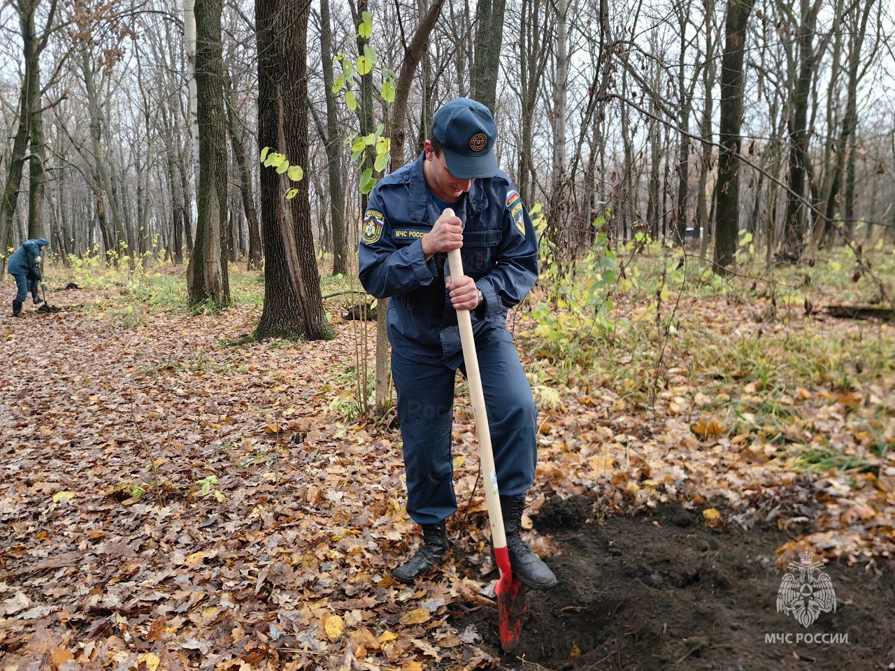 Кедр как символ стойкости. В преддверии знаменательной даты – 35-летия со дня образования МЧС России, сотрудники Главного управления МЧС России по Ульяновской области приняли участие в акции по озеленению города Кедр как символ стойкости. В преддверии знаменательной даты – 35-летия со дня образования МЧС России, сотрудники Главного управления МЧС России по Ульяновской области приняли участие в акции по озеленению города