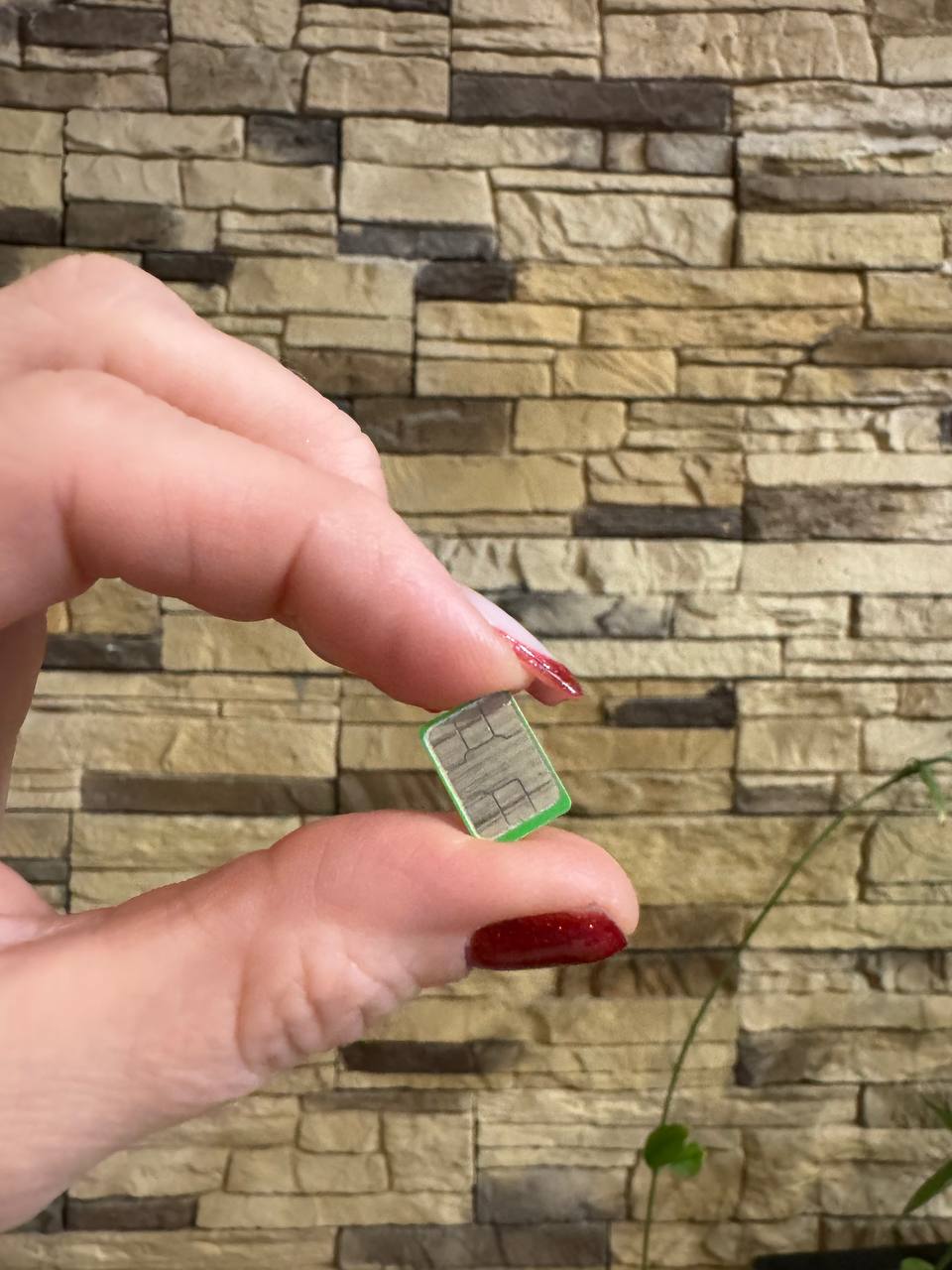 Количество сим-карт нужно сократить до 1 ноября