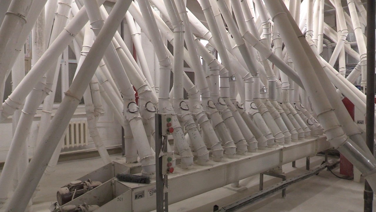 Зерно, собранное с полей Ульяновской области, кормит не только нашу страну