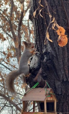 Последние дни октября — успейте прогуляться по паркам Ульяновска, пока погода позволяет наслаждаться красивой осенью
