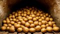 Хранение картофеля: когда собирать и как сохранять до весны