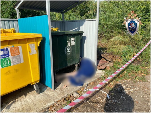 45-летнего жителя Димитровграда обвиняют в убийстве сожительницы