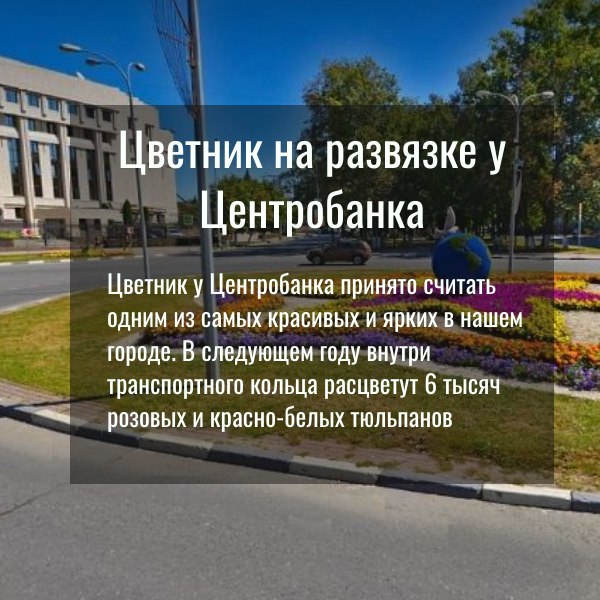 На этой неделе мы посадили в ульяновских цветниках 43 тысячи луковиц тюльпанов На этой неделе мы посадили в ульяновских цветниках 43 тысячи луковиц тюльпанов