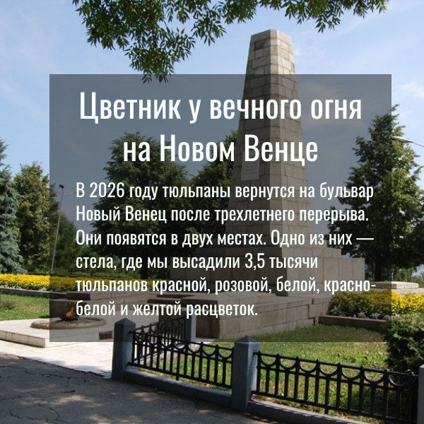 На этой неделе мы посадили в ульяновских цветниках 43 тысячи луковиц тюльпанов На этой неделе мы посадили в ульяновских цветниках 43 тысячи луковиц тюльпанов