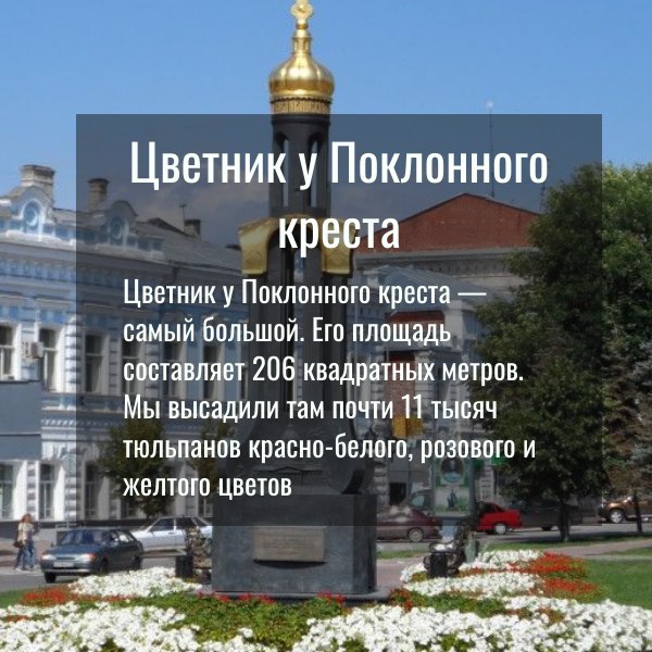 На этой неделе мы посадили в ульяновских цветниках 43 тысячи луковиц тюльпанов На этой неделе мы посадили в ульяновских цветниках 43 тысячи луковиц тюльпанов