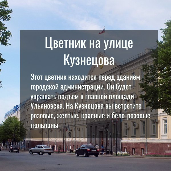 На этой неделе мы посадили в ульяновских цветниках 43 тысячи луковиц тюльпанов На этой неделе мы посадили в ульяновских цветниках 43 тысячи луковиц тюльпанов