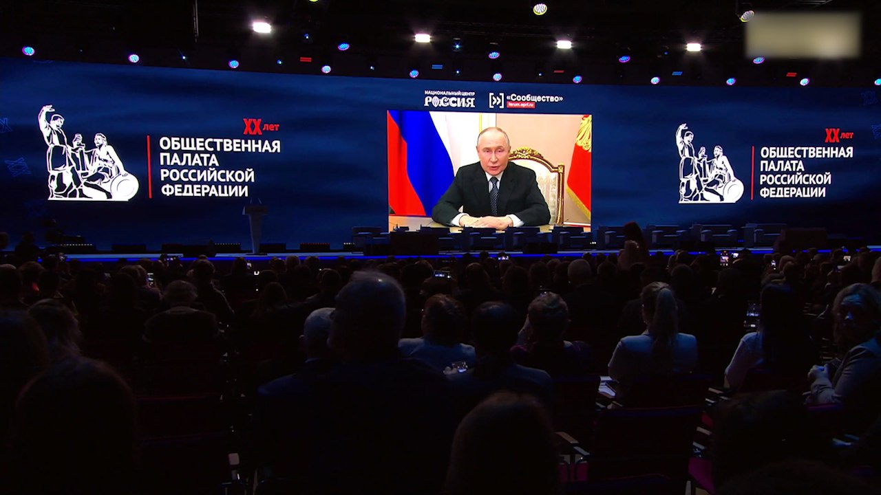 Двадцать лет безукоризненной работы — история становления самого прочного гражданского института, Общественной палаты