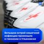 Вспышка острой кишечной инфекции произошла в ульяновской гимназии