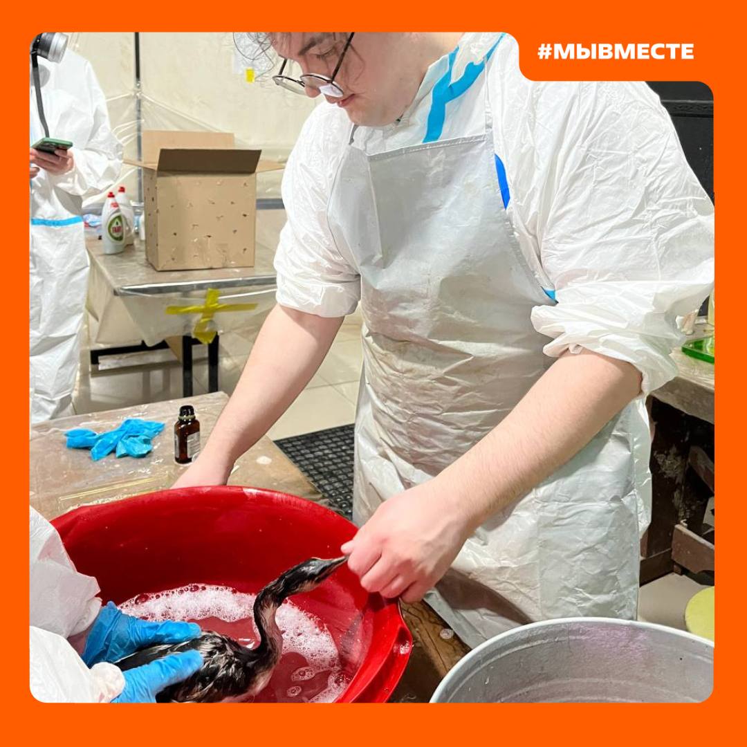 31 октября — День Чёрного моря 31 октября — День Чёрного моря