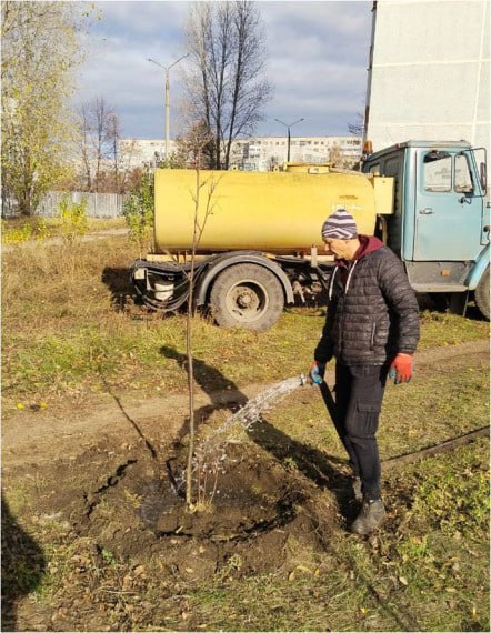 За 31 октября Ульяновские дорожники уложили 800 квадратных метров асфальта За 31 октября Ульяновские дорожники уложили 800 квадратных метров асфальта