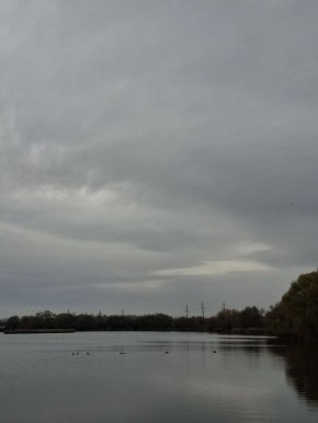 Доброе утро, друзья!. Сегодня, 3 ноября, празднуем Международный день калькулятора, Всемирный день медузы, День клише и День хранения тайны