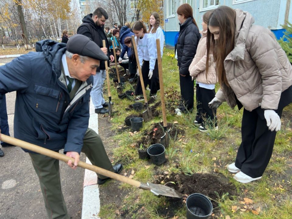 По инициативе главы Ульяновска Александра Болдакина осенью в городе реализуется масштабная программа по озеленению территорий образовательных организаций города По инициативе главы Ульяновска Александра Болдакина осенью в городе реализуется масштабная программа по озеленению территорий образовательных организаций города