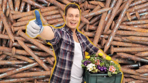 Железный аргумент: с этой подкормкой из ржавых гвоздей зазеленеет даже сухостой