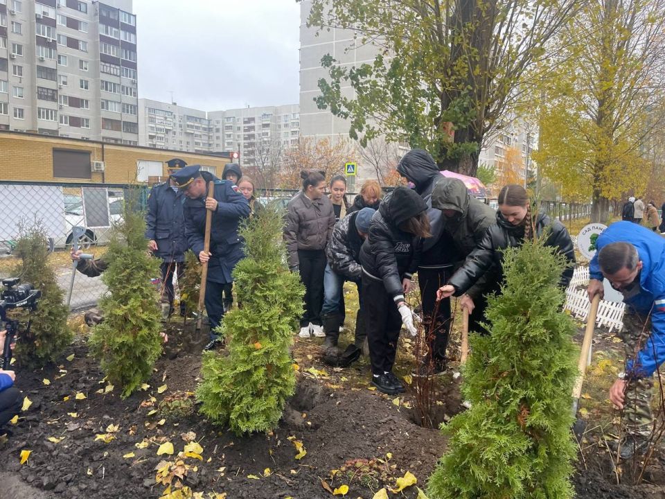 По инициативе главы Ульяновска Александра Болдакина осенью в городе реализуется масштабная программа по озеленению территорий образовательных организаций города По инициативе главы Ульяновска Александра Болдакина осенью в городе реализуется масштабная программа по озеленению территорий образовательных организаций города