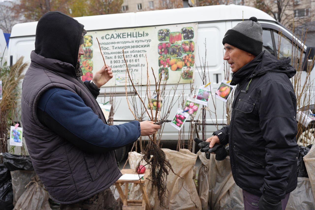 В Засвияжском районе 8 ноября пройдёт заключительная в этом году сельскохозяйственная ярмарка