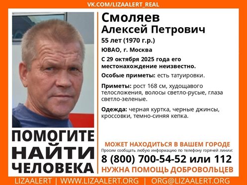 В Ульяновской области ищут пропавшего москвича