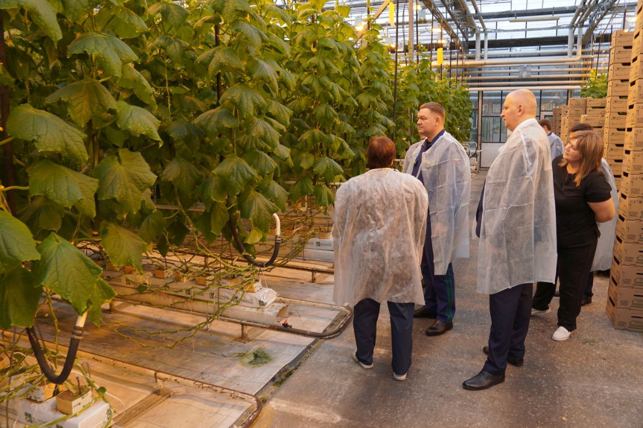 Прокурор Ульяновской области посетил АО «Тепличное» Прокурор Ульяновской области посетил АО «Тепличное»