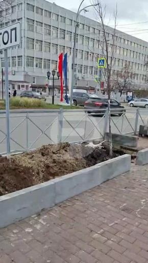 На улице Гончарова продолжаются работы по озеленению