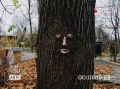 Во Владимирском саду поселились Парковые Домовые