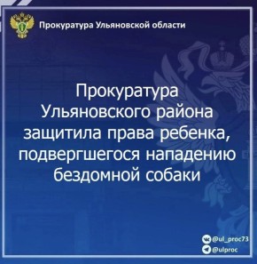 Прокуратура Ульяновского района Ульяновской области провела проверку по обращению местного жителя