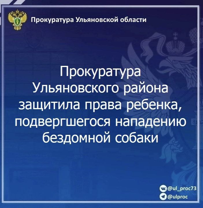 Прокуратура Ульяновского района Ульяновской области провела проверку по обращению местного жителя