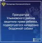 Прокуратура Ульяновского района Ульяновской области провела проверку по обращению местного жителя