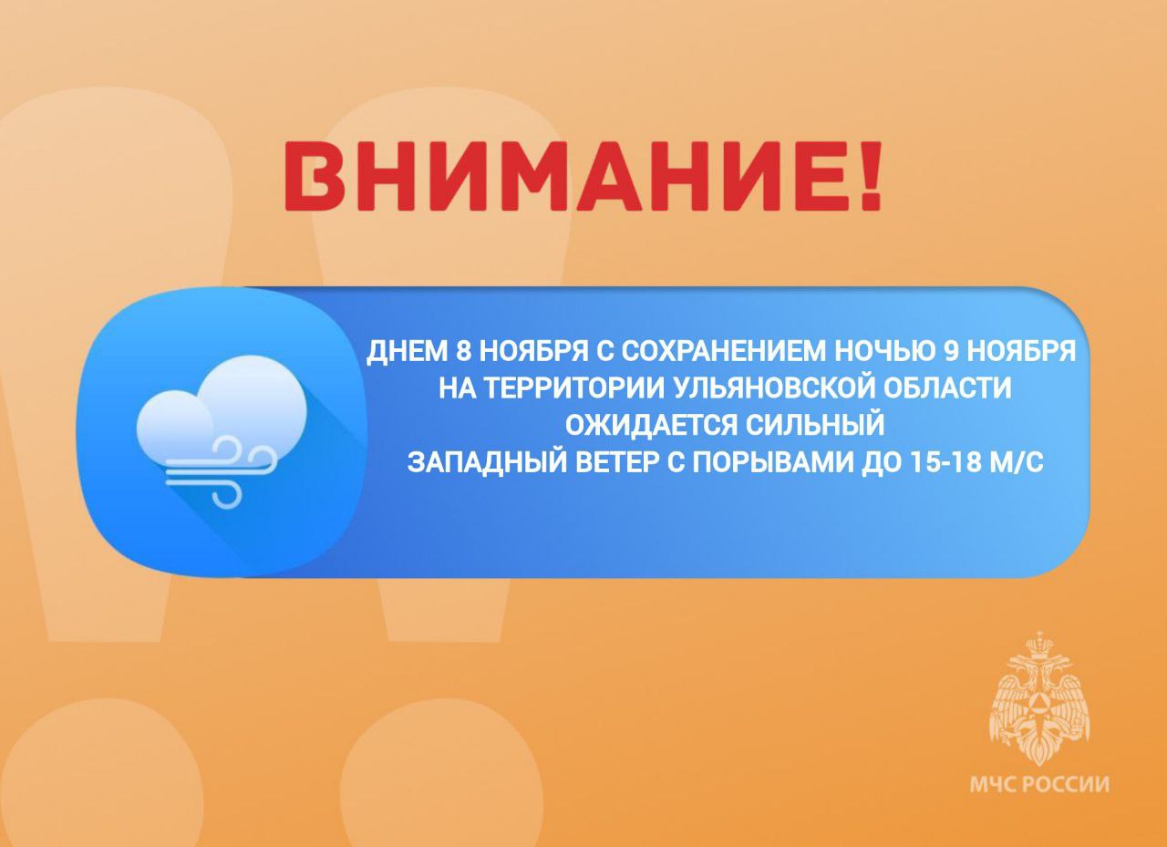 Ожидается сильный западный ветер порывами 15-18 м/с в Ульяновской области днем 8 ноября 2025г