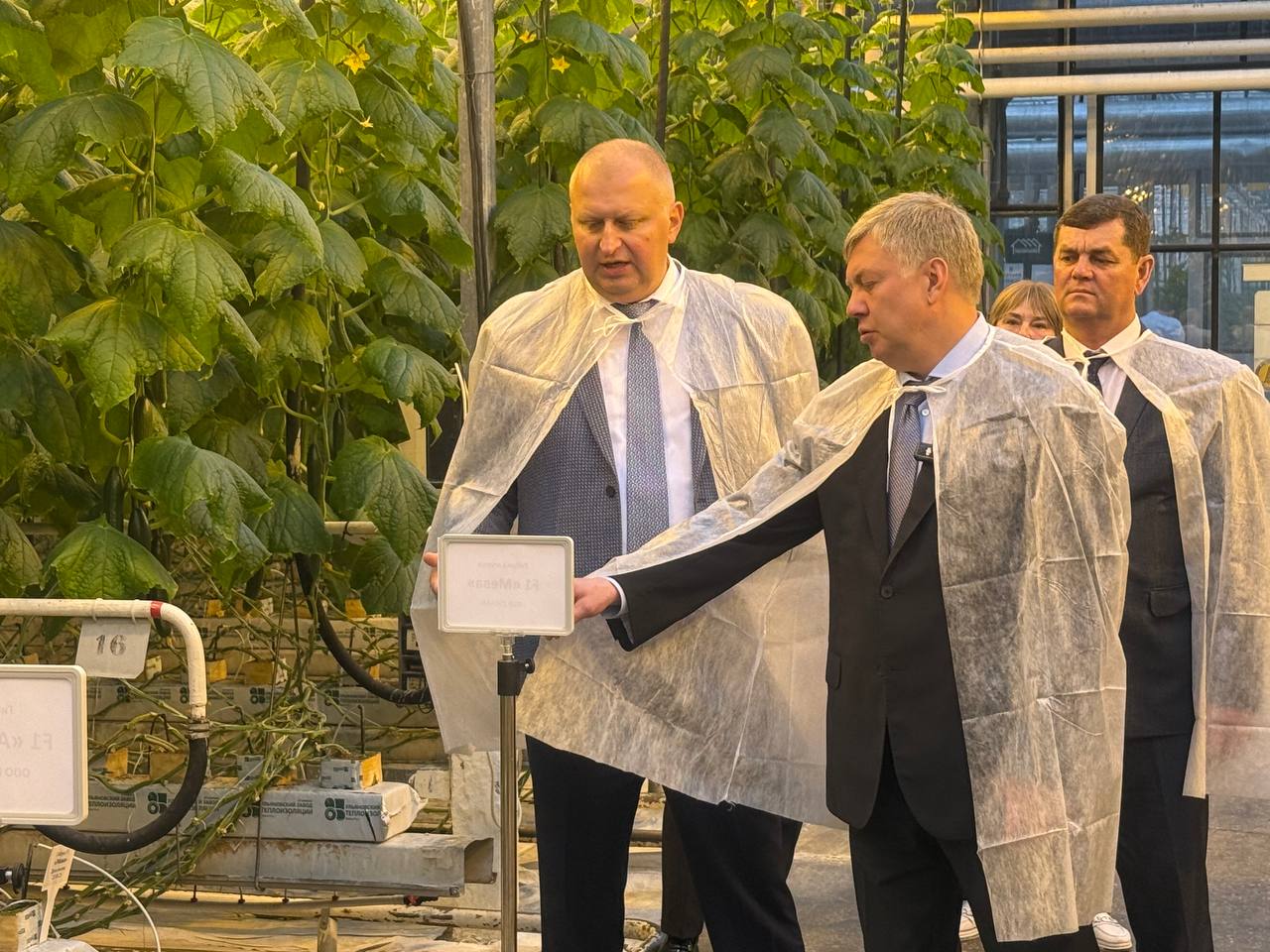 Алексей Русских: В «Тепличном» продолжается модернизация производства Алексей Русских: В «Тепличном» продолжается модернизация производства