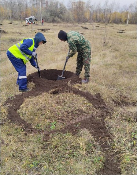 В Ульяновске до конца осени дополнительно высадят почти 2400 зелёных насаждений В Ульяновске до конца осени дополнительно высадят почти 2400 зелёных насаждений