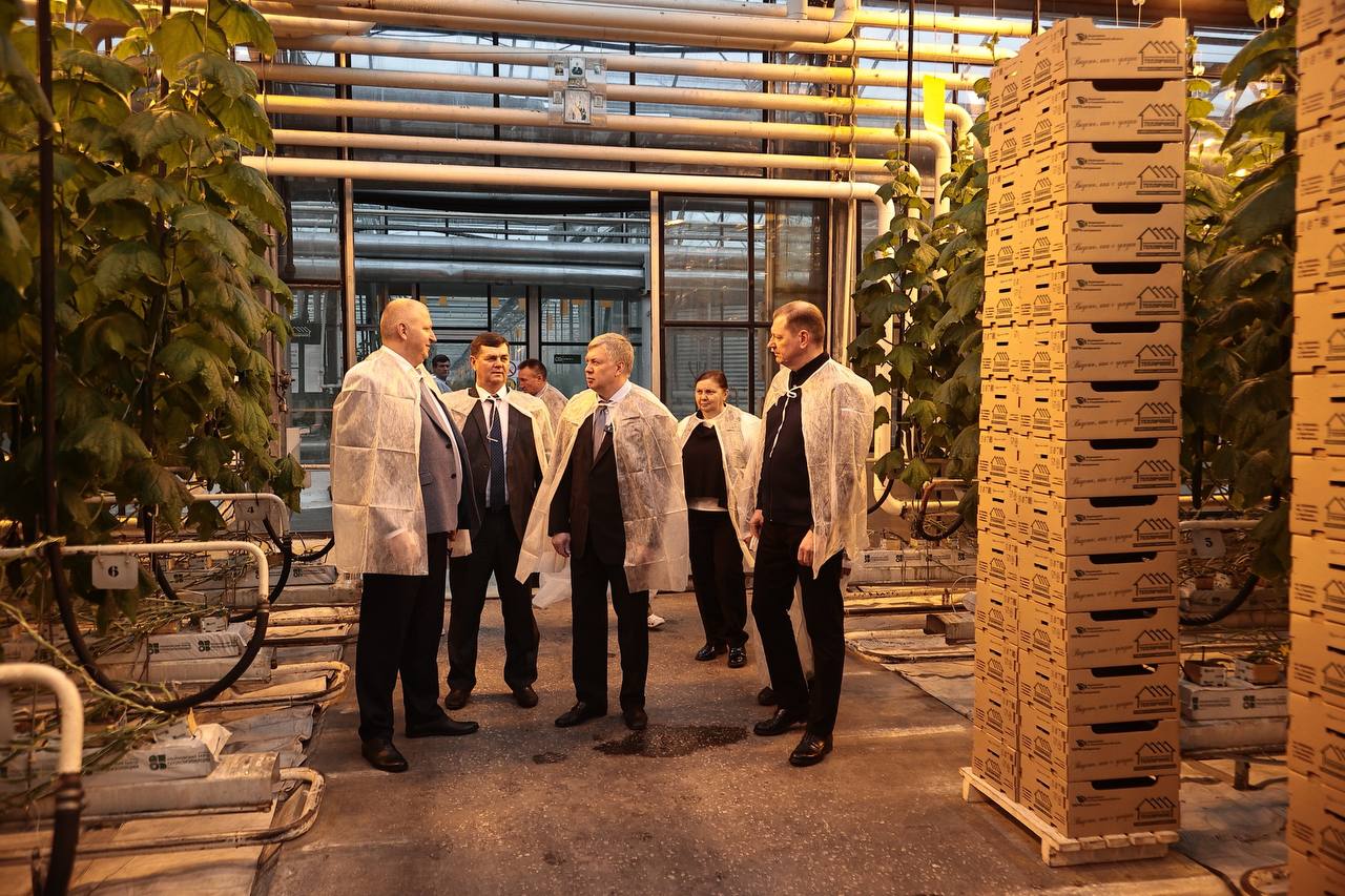 Алексей Русских: В «Тепличном» продолжается модернизация производства Алексей Русских: В «Тепличном» продолжается модернизация производства