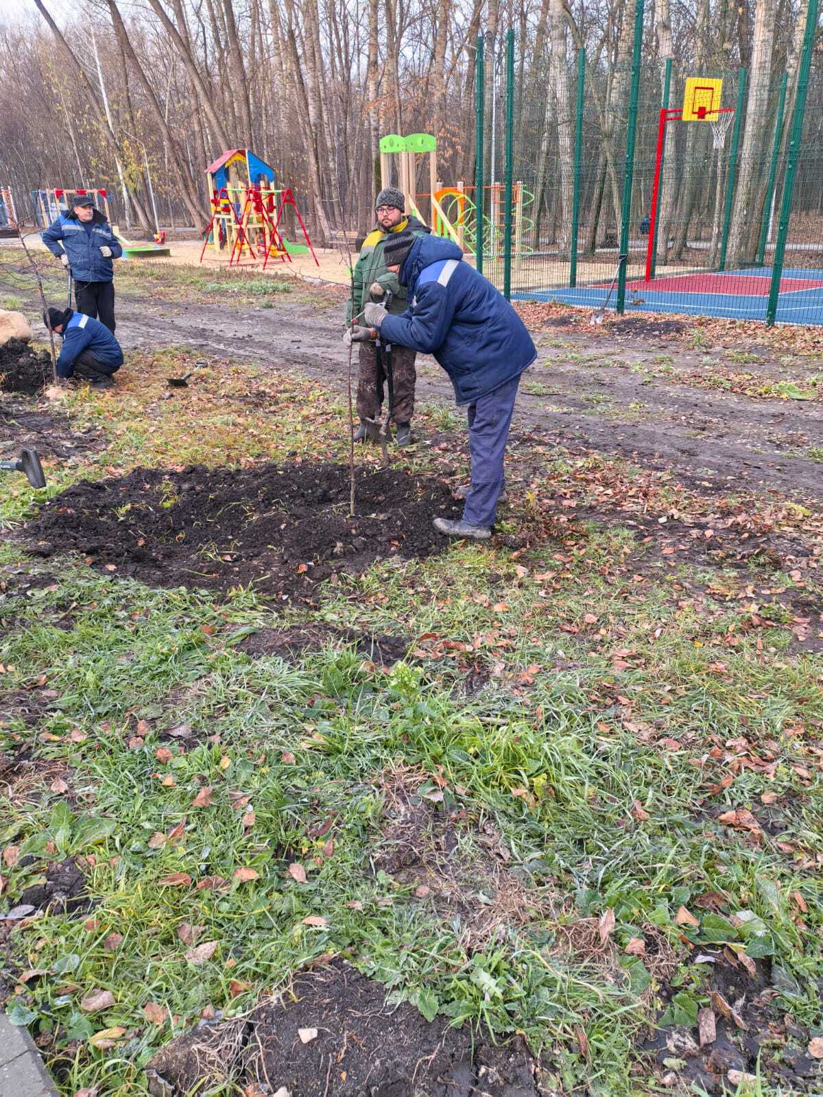 Специалисты Городского центра по благоустройству и озеленению посадили 63 дерева и 113 кустарников Специалисты Городского центра по благоустройству и озеленению посадили 63 дерева и 113 кустарников