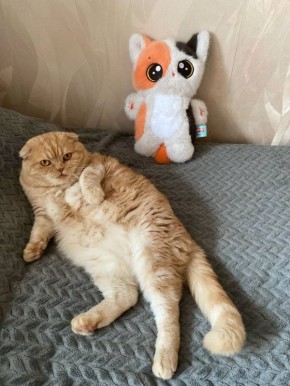  , !. , 13 ,    ,   ,       